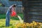 Careful gardener pouring water on flower garden bed with orange plastic watering can
