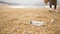 Careful woman collects discarded rubbish on ocean sand beach