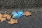 Carelessly discarded blue face mask on a sidewalk during the corona pandemic,