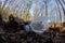 A carelessly throw away plastic bottle nestled in the foliage litters a forest path