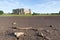 Carew Castle old ruins