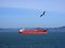 Cargo Boat sails through San Francisco Bay as Western Sea Gull f