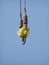 Cargo crane hook