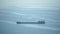 Cargo and dredging industrial ships sailing in to sea horizon. One large cargo ship grain carrier tanker in sea on sunny