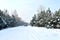 Cargo dump truck rides on a snowy road to load sand into career. Winter road against the backdrop of fabulous spruce trees