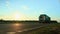 Cargo lory road train with curtainsider trailer driving on highway at sunset. Carry freight transit. Export import