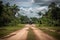 cargo plane landing on airstrip in the heart of the amazon