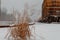 Cargo railroad industry in winter. Railway carriage transport still storage.