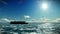 Cargo ship sailing, timelapse clouds and seagulls, with sound