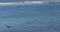 Cargo ships wait beyond the breakwater to get into the Port of Los Angeles