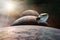 Cargo spacecraft in low-Earth orbit on background of planets. Elements of this image furnished by NASA