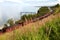 Cargo train on Trans Baikal Railway