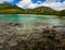 Caribbean Bay, Virgin Islands, St. John, Clear Water