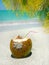 Caribbean beach coconut and palm