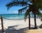 Caribbean beach framed by a palm tree and boardwalk railing