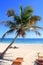 Caribbean coconut palm trees in tuquoise sea