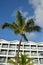 Caribbean hotel with coconut tree