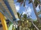 Caribbean house structure with colored wooden beams and sheet metal roof. Tropical blue sky and palm trees. Paradise landscape.