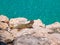 Caribbean lizard on the rocks of Varadero