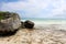 Caribbean ocean and rocks with seaweed