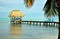 Caribbean Palapa Dock and Hammocks