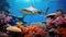 Caribbean reef shark and coral reef