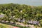 Caribbean road with palm trees