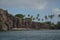 Caribbean Rock Wall Palm Trees and Stone Beach