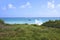 The Caribbean Sea and wave splash in Tulum, Yucatan Peninsula, Mexico, green grasses foreground
