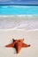 Caribbean starfish tropical sand turquoise beach