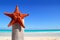Caribbean starfish on wood pole beach