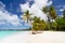 Caribbean wild beach with palm trees