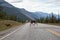 Cariboo family walking on a scenic road during a cloudy morning sunrise.