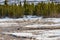 Caribous having a rest in a river bed in Denali National Park, Alaska