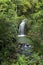 The Caribs. Grenada island. Waterfall.