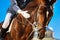 Caring equestrian calming his favorite horse before horserace