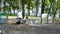 Caring girl giving water to her dog Jack Russell Terrier on playground