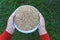 Caring grandmother hands holding a bowl of wheat grain