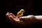 Caring hand supports a chirping canary, portraying harmony and kinship.