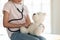 Caring little girl play doctor game with plush toy