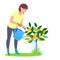 Caring and planting money tree
