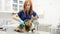 Caring veterinarian checks the lungs of a Maine Coon cat using a stethoscope during an examination at a veterinary clinic.