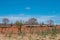 Cariri, ParaÃ­ba, Brazil - February, 2018: Landscape of nature background with cows and oxen feeding, eating in a dry land with Ma