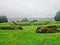 Carleon - Wales, Green landscape.