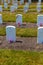 Carlisle Indian Industrial School Grave Markers