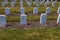Carlisle Indian Industrial School Grave Rows