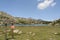 Carlit mountain and lakes , Les Bouillouses, France