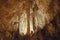 Carlsbad Caverns