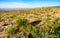 Carlsbad Caverns National Park