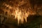 Carlsbad Caverns Stalactites